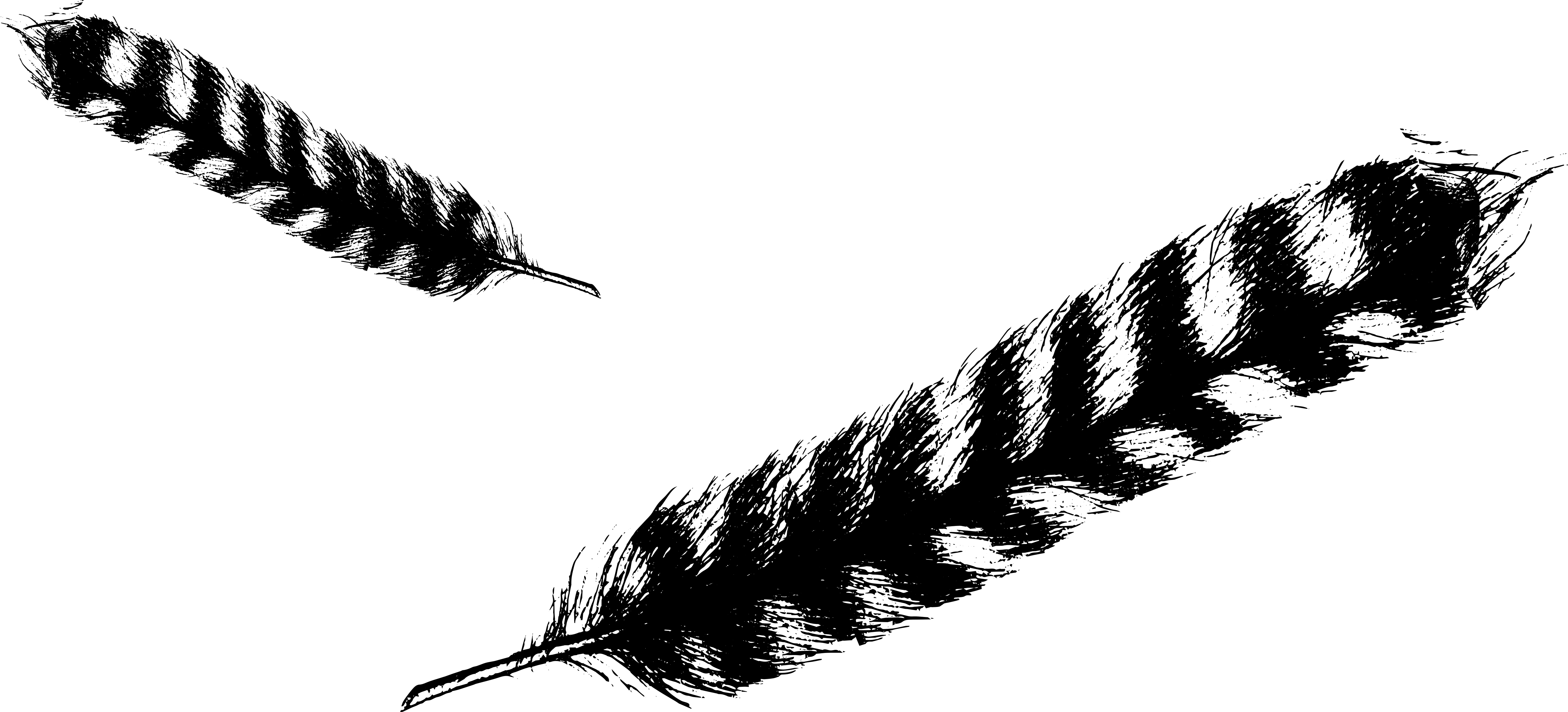 FIO feather
